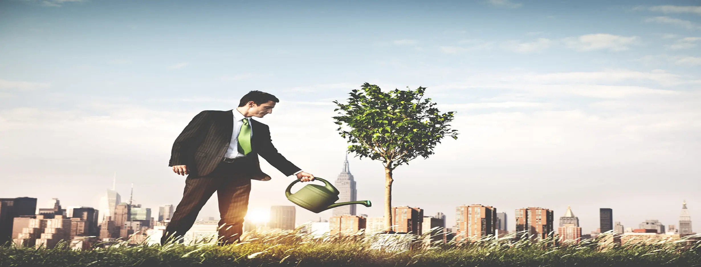 Image for Abundant Business Opportunities